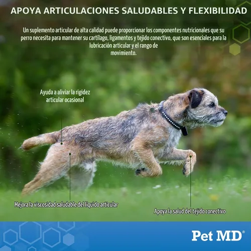 Vista 4 de Pet MD Glucosamina condroitina para perros - con MSM y cúrcuma - 120ct