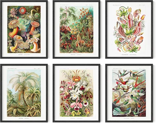 Vista 45 de HAUS AND HUES Pósteres florales y de plantas, juego de 6 impresiones botánicas, arte de pared de flores y plantas, decoración botánica