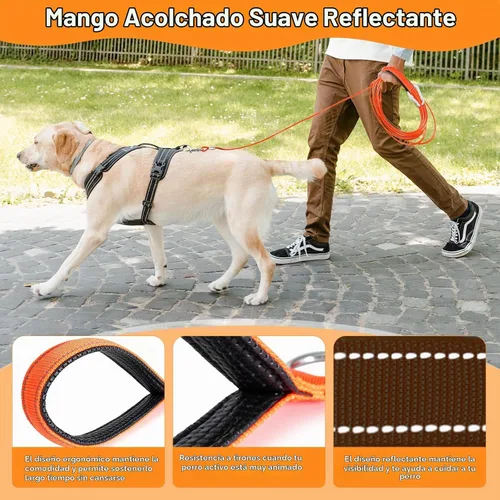 Vista 6 de [Usado] Correa de cable resistente para perros grandes