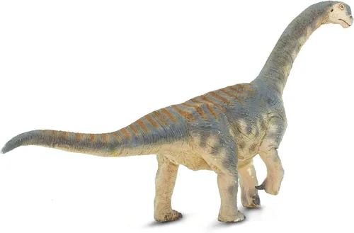 Vista 4 de Safari Ltd. Camarasaurus Figurine – Figura realista modelo de 13.5 pulgadas – Juguete educativo de dinosaurio para niños, niñas y niños a partir