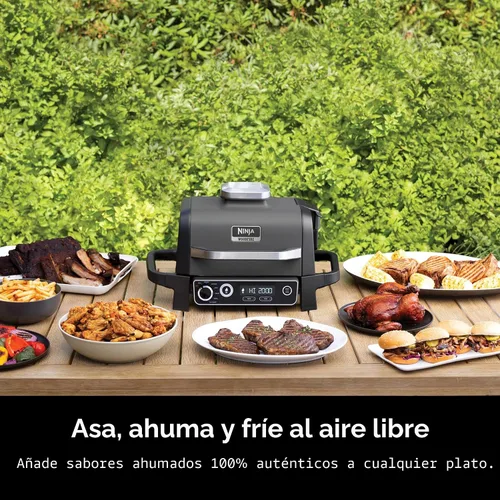 Vista 2 de Ninja Serie Woodfire 7 en 1 (parrilla, barbacoa, asar, freír con aire, deshidratar, rostizar, ahumar) Portátil y resistente a la intemperie