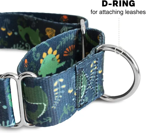 Vista 3 de Downtown Pet Supply - Collar Martingale para perros - Collar de entrenamiento para perros - Collar de perro grande, ancho y grueso - A prueba
