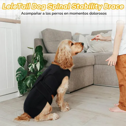 Vista 7 de Soporte de espalda para perros pequeños, soporte ajustable de estabilidad espinal con 5 tiras de plástico flexibles, cómodo para perros pequeños