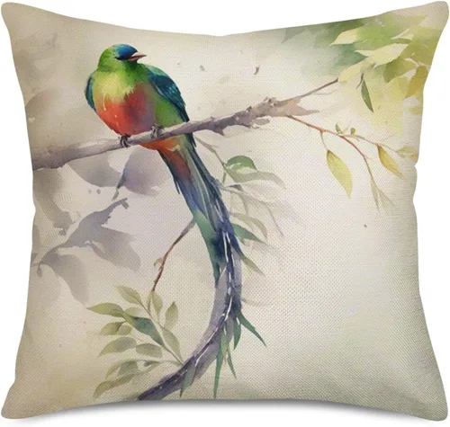 Vista 5 de Juego de 4 fundas de almohada con diseño de colibríes de acuarela, Quetzal resplandeciente de pájaros verdes de naturaleza, fundas de cojín