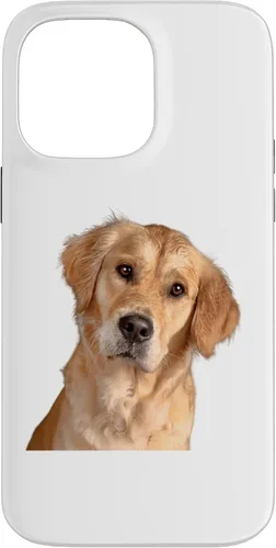 Vista 21 de American Golden Retriever Dog Sweet and Quizzical Case for iPhone 17