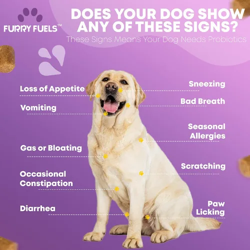 Vista 4 de Probióticos para perros para la salud digestiva – 120 masticables para perros – Probióticos para perros – Probióticos para perros – Probióticos