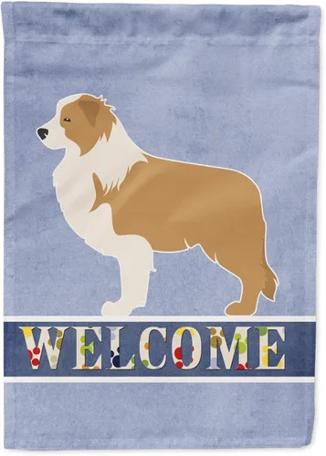 Vista 188 de Caroline's Treasures BB5552GF Affenpinscher Bandera de bienvenida para jardín, bandera decorativa para patio exterior, patio, parterres