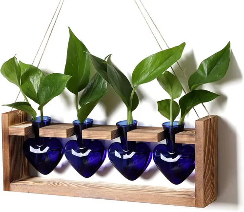 Vista 11 de Estaciones de propagación de plantas, kit de terrario de plantas de corazón, regalo para mujeres, amantes de las plantas, jarrones de vidrio Ámbar