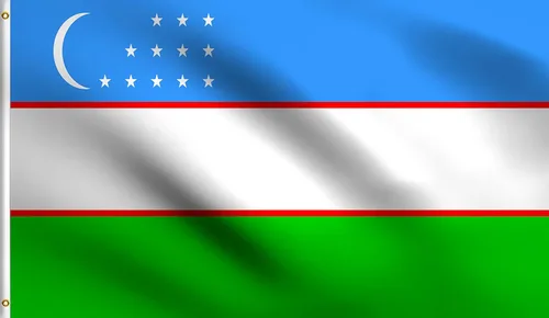 Vista 115 de DMSE - Bandera nacional beninesa beninesa de la República de África Occidental, 2 x 3 pies, 100 % poliéster, 100 % poliéster, resistente a los rayos