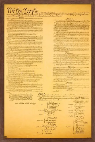 Vista 16 de Trends International Póster de pared de The Constitution, 14.725 x 22.375 pulgadas, versión enmarcada de madera de granero Versión enmarcada Barnwood