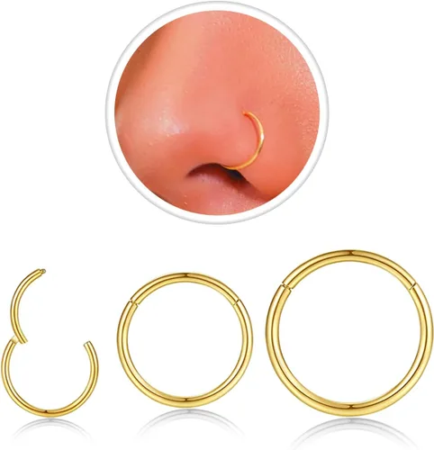 Vista 26 de Nose Rings Hoop and Nose Studs Sets for Women Men,Hypoallergenic 316L Surgical Stainless Steel Hinged Clicker Segment Nose Rings Hoop Helix
