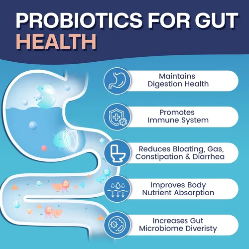 Vista 2 de NNATURE Target Probióticos para mujeres y hombres, 60 mil millones de UFC, prebióticos y probióticos para la salud intestinal - Probióticos SBO que