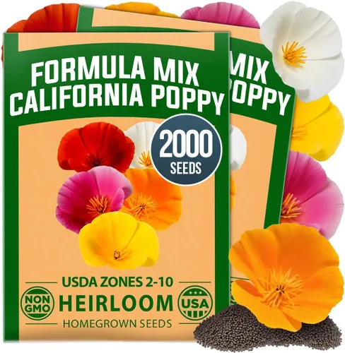 Vista 58 de HOME GROWN Semillas de Hollyhock de doble mezcla de Chater, 200 semillas