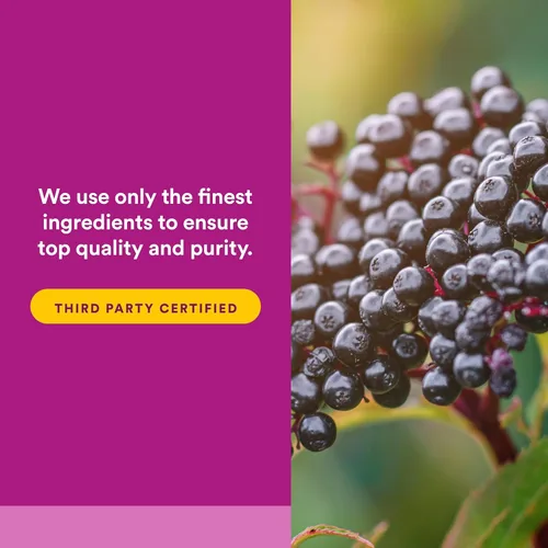 Vista 5 de Baya de saúco negro, 100 mg, 120 cápsulas blandas de acción rápida, Natural Factors 64:1 European Black Elderberry Extract Standardized to 14%