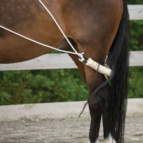 Vista 6 de Sistema de entrenamiento europeo avanzado Herramienta de entrenamiento avanzada Mejora el carro de caballos y los auriculares Fomenta