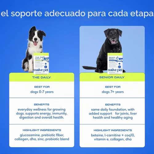Vista 6 de Native Pet Vitaminas y suplementos diarios para perros mayores – Polvo multivitamínico 12 en 1 para perros mayores – Apoya la movilidad