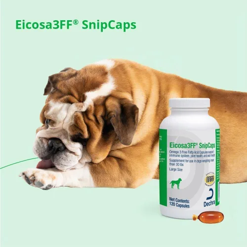 Vista 6 de Eicosa3FF® SnipCaps Omega 3 Free Fatty Acid Cápsulas - Grandes, 120 Cápsulas