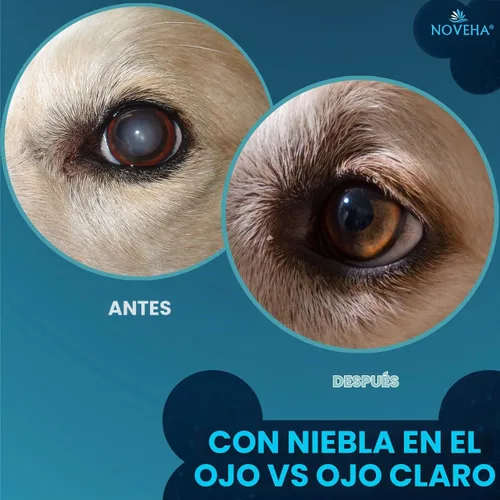 Vista 6 de NOVEHA Gotas para Mascotas Solución Avanzada de Lanosterol + NAC (2 x 10 mL)