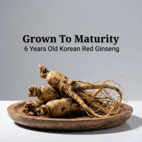 Vista 9 de Ginseng rojo coreano [Ginebra HONGSAM] 60 cápsulas – Suplementos antienvejecimiento premium – Aumenta la energía Inmune Memoria para mujeres