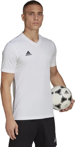 Vista 5 de adidas Camiseta estampada Entrada 22 para hombre