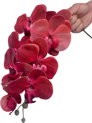 Vista 3 de FagusHome Phalaenopsis - 6 piezas de flores artificiales de orquídea con 4 paquetes de hojas, plantas con tallo para decoración del hogar (rojo)