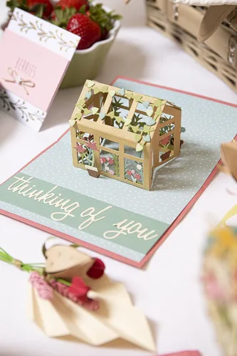 Vista 4 de Sizzix Sizzx Thinlits Juego de troqueles 19PK Pop-Up Garden de Lisa Jones 665957 Capítulo 3 2022, multicolor