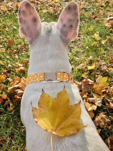 Vista 22 de Lionet Paws Collar de perro de Halloween con corbatín, bonito collar de algodón ajustable con hebilla de metal para perros pequeños, medianos y A