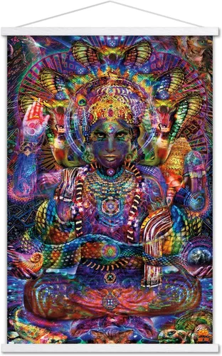 Vista 7 de Trends International Jumbie - Vishnu Wall Poster, 22.37" x 34.00", Premium Print and Beechwood Hanger Bundle