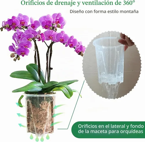 Vista 3 de Paquete de 12 macetas de orquídea, 3 de cada una de 3.9, 4.7, 5.5 y 6.3 pulgadas, macetas transparentes para orquídeas con agujeros