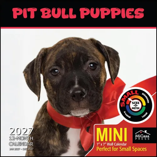 Vista 12 de MICASA PRESS Calendario de pared de Australian Shepherds Aussies 2027 02 - Pastores australianos