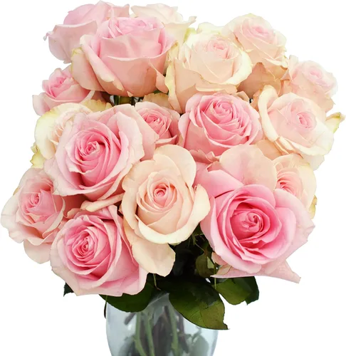 Vista 9 de Greenchoice Flowers - Rosas Rosa encendido