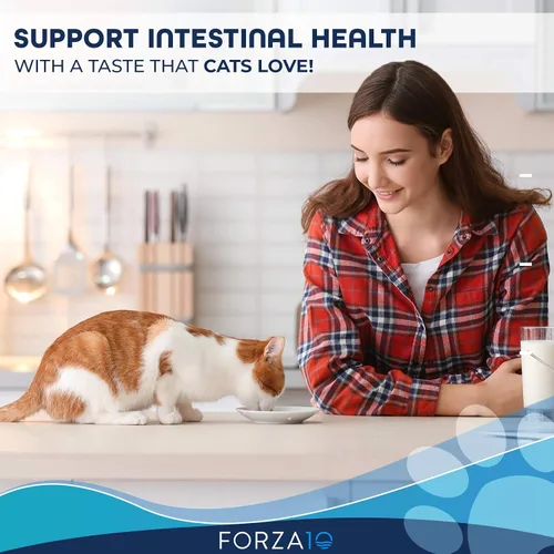 Vista 3 de Forza10 Alimento húmedo para gatos, sabor a pescado y salmón, alimento húmedo para gatos adultos con problemas gastrointestinales y digestivos