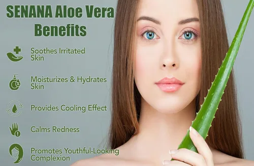 Vista 3 de Hidratante corporal y facial con infusión de aloe, crema hidratante natural con aloe vera, cuidado de la piel para piel seca, antiarrugas