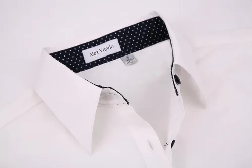 Vista 3 de Alex Vando Camisas de vestir para mujer, sin arrugas, ajuste regular, manga larga, elástica, camisa de trabajo