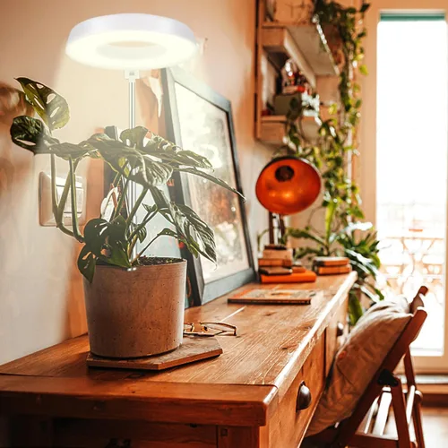 Vista 2 de Juhefa Luz de crecimiento para plantas de interior, lámpara halógena de espectro completo de 4000K blanco para plántulas, suculentas, plantas