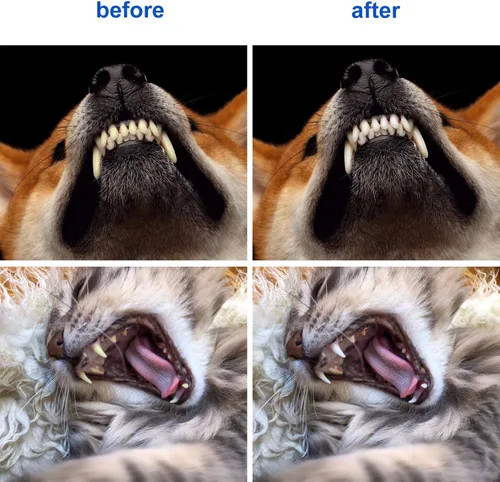 Vista 7 de Newday 50 cepillos de dientes de doble cabeza para perros y gatos, cerdas súper suaves, cepillo de dientes para el cuidado bucal, cepillo de dientes