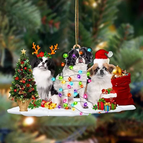 Vista 119 de Nazenti Adorno de Navidad personalizado con amigos Affenpinscher – Adorno de perro personalizado para amantes de las mascotas, acrílico plano