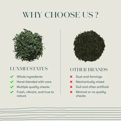 Vista 4 de LUXMI Estates - Té verde Sencha japonés - 50g (25 tazas) Té auténtico Sencha japonés de First Leaves Té premium suave, rico y refrescante