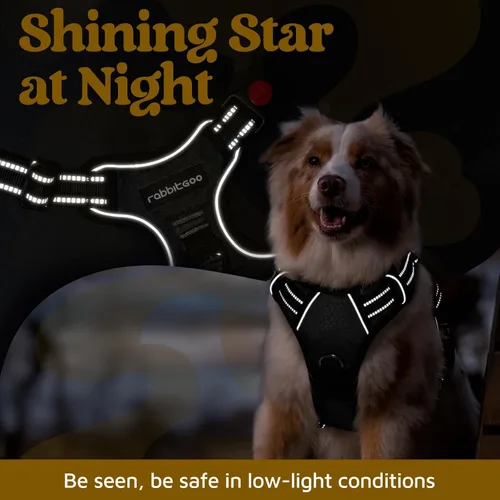 Vista 6 de rabbitgoo Arnés para perro de tamaño pequeño, chaleco para perro sin tirones con 3 hebillas, arnés ajustable y acolchado suave para mascotas con asa