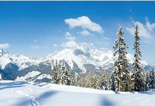 Vista 4 de Renaiss Telón de fondo de paisaje de nieve de invierno de 5 x 3 pies, montañas nevadas, pinos cubiertos de bosque, campo de nieve, paisaje natural