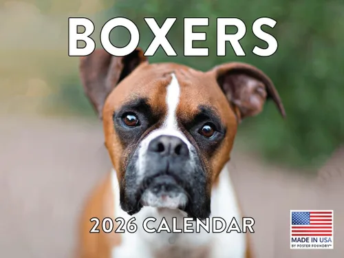 Vista 200 de Calendario mensual de pared Airedale Terrier Dog 2027 rojo (Airedale Terrier)