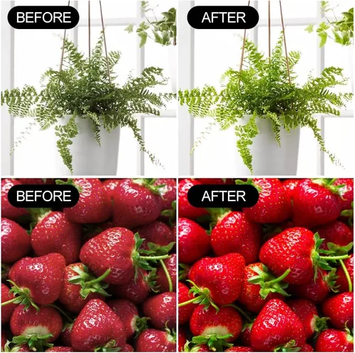 Vista 6 de Paquete de 2 bombillas LED de cultivo A19, bombilla de espectro completo para plantas, bombilla de cultivo E26 de 9 W que reemplaza hasta 80 W, luz