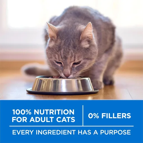 Vista 7 de Purina ONE Plus Alimento seco para gatos con alto contenido de proteínas