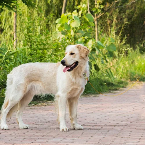 Vista 8 de Correa de perro resistente, correa de metal a prueba de mordidas para perros grandes (hasta 250 libras), correas de alambre para perros con agarre