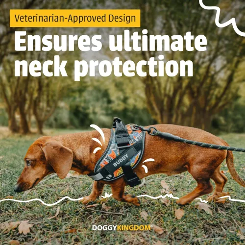 Vista 3 de Doggykingdom - Arnés de perro personalizado anti tirón con parche de nombre, ajustable, reflectante, acolchado, arnés resistente para mascotas