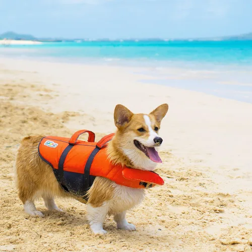 Vista 9 de Outward Hound - Chaqueta salvavidas para perros Max Buoyancy, Adjustable Fit, Head/Neck Support, Rescue Handle, Reflective, Swimming & Boating