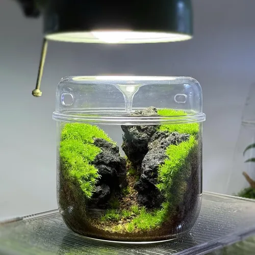 Vista 6 de Piedra de lava volcánica natural de 1 a 2.5 pulgadas para jardines en miniatura y de hadas, acuarios de paisajismo acuático, uso en hogueras