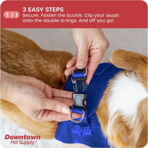 Vista 221 de Downtown Pet Supply Arnés para perro Step-in – Sin tirones, malla acolchada ajustable con ribete reflectante, correa de hebilla segura – Arnés
