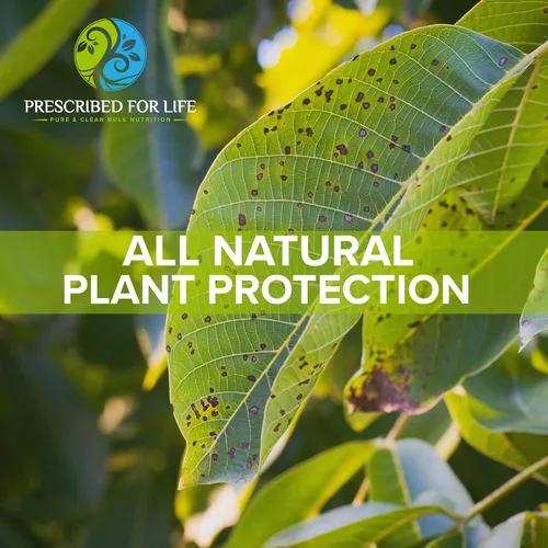 Vista 5 de Prescribed for Life Polvo de bicarbonato de potasio, USP puro y bicarbonato de potasio de grado alimenticio para plantas, vinificación y horneado