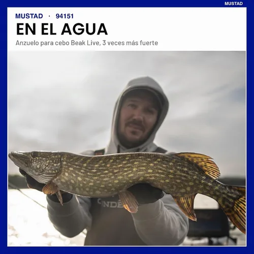 Vista 7 de Mustad O Shaughnessy Live Bait